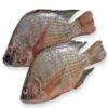 Bolti Fish one Kilo