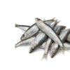 Sardine Balady Fish one kilo